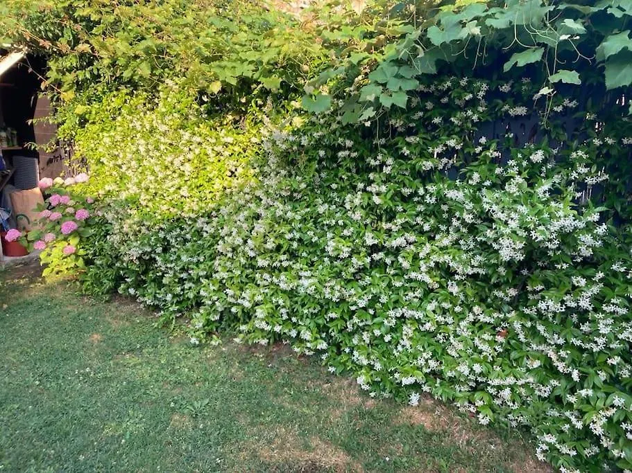 Chambre Independante Dans Jardin Cachan France